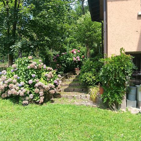 L'Angolino Di Magda: On The Lake-Private Beach! Ghirla エクステリア 写真